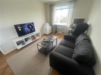 Picture 3